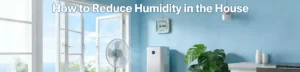 How to Reduce Humidity in the House