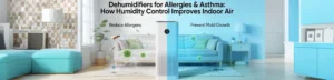 Dehumidifiers for Allergies & Asthma: How Humidity Control Improves Indoor Air